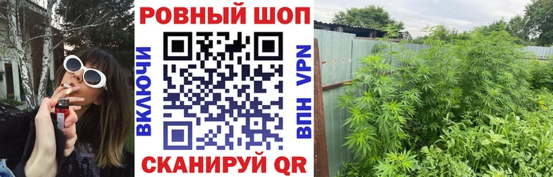 Где купить наркоту Петровск Кокаин  A PVP  Конопля 