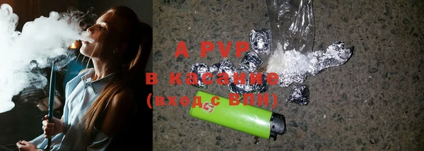 ГАЛЛЮЦИНОГЕННЫЕ ГРИБЫ Надым