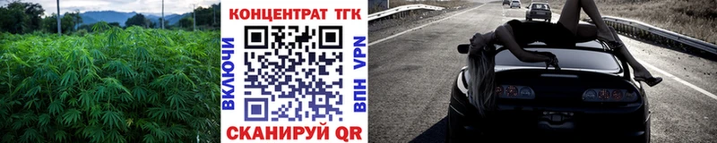 где найти   Петровск  дарк нет телеграм  ТГК гашишное масло 