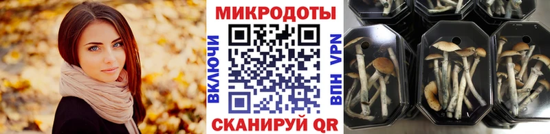 Галлюциногенные грибы Cubensis  Петровск 