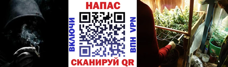 Марихуана конопля  дарнет шоп  Петровск 
